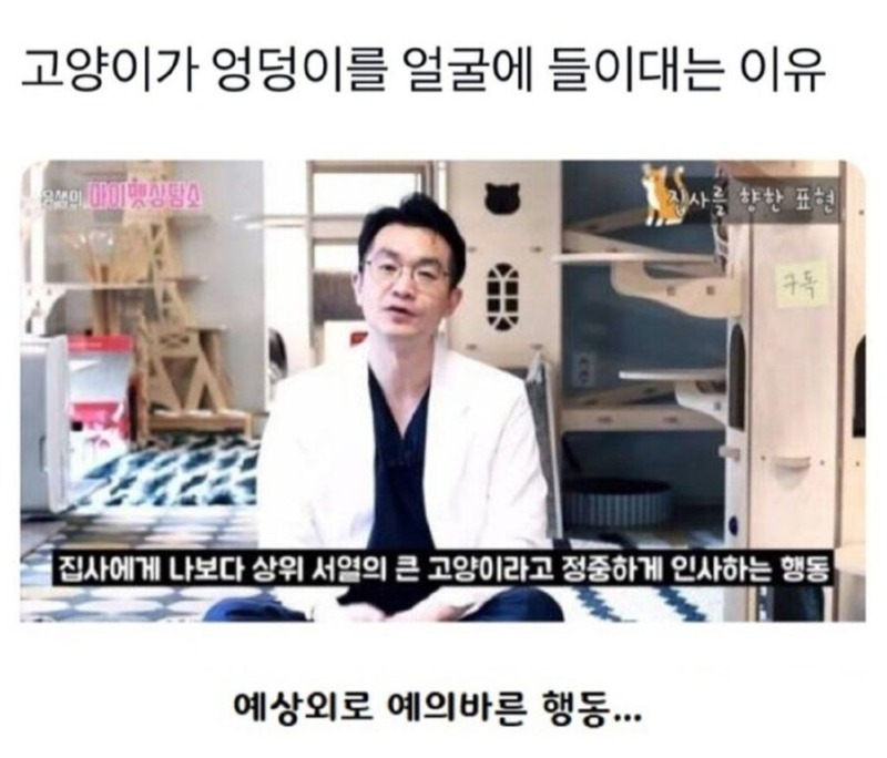 고양이가 집사에게 엉덩이를 내미는 이유