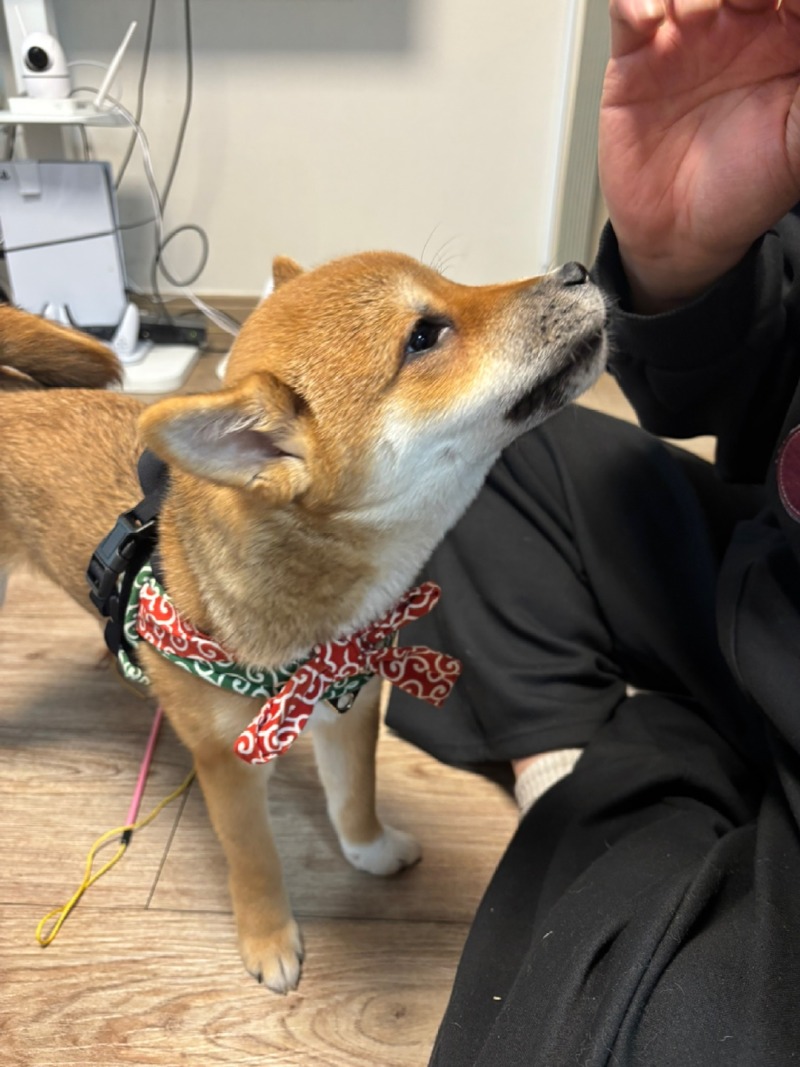 KakaoTalk_20250228_163750387_01.jpg