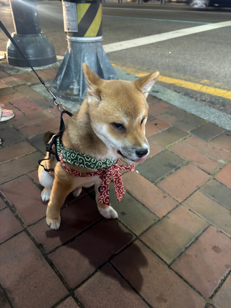 KakaoTalk_20250228_163750387.jpg