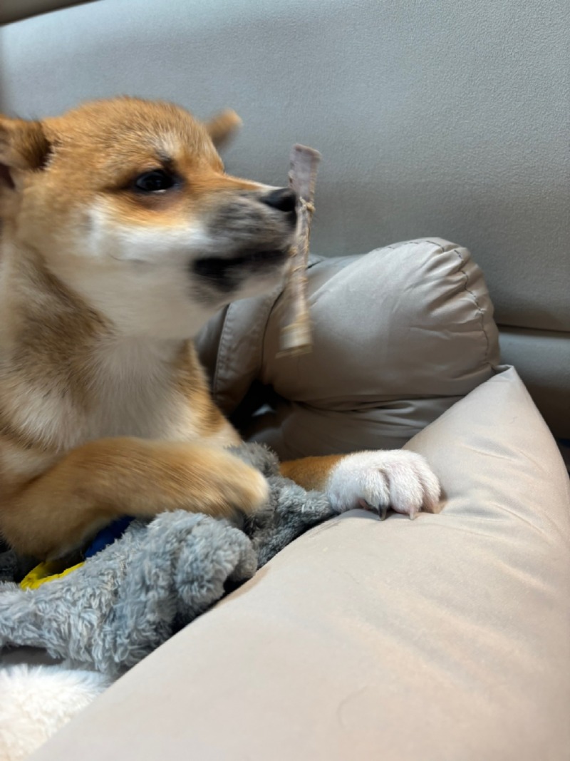 KakaoTalk_20250228_164722052_02.jpg