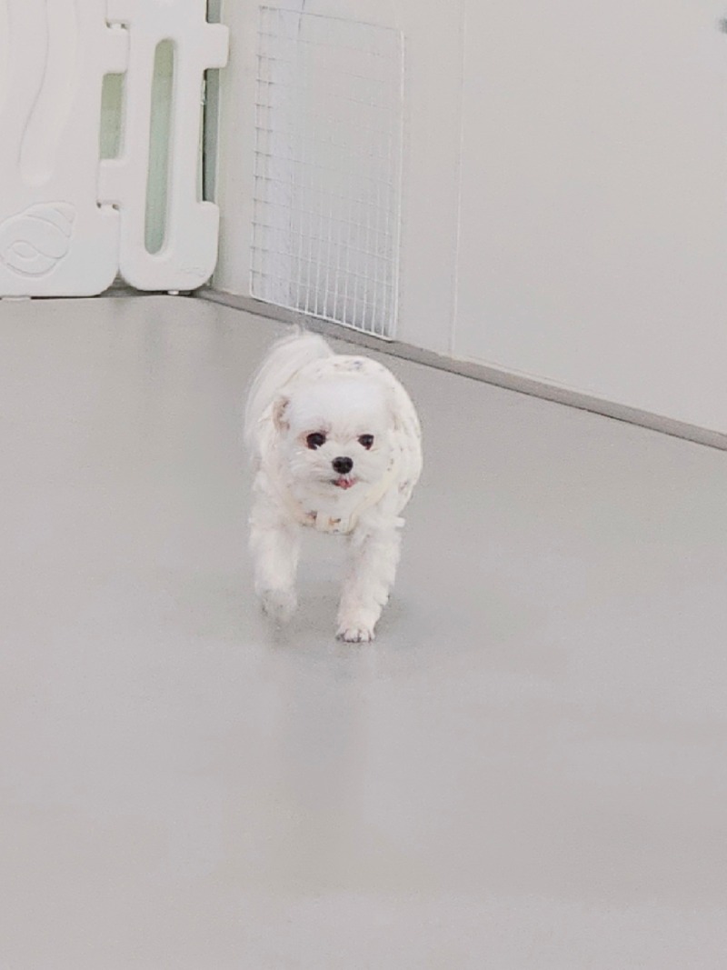 여름이 첫인사