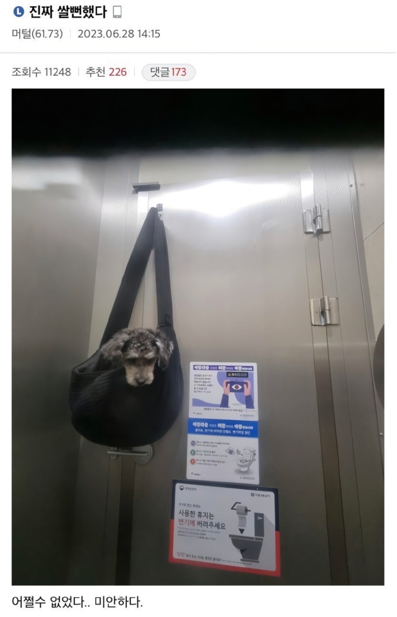 생각보다 극한직업인 반려견 활동 