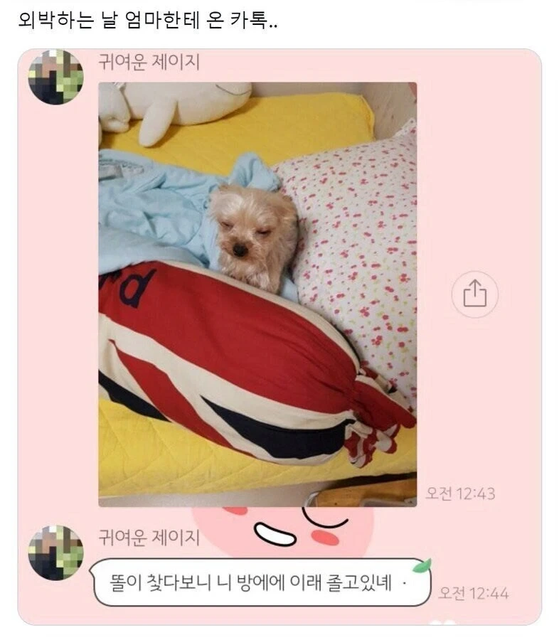 외박하는 날 엄마한테 온 카톡.daengdaeng