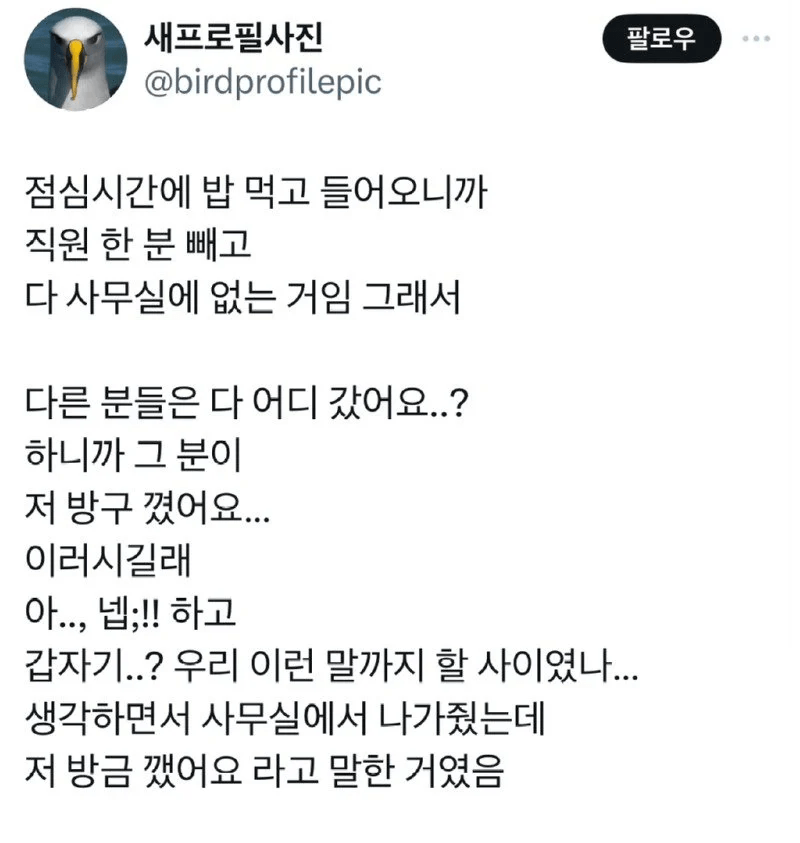 토익처럼 말하는 직원 동료분.office