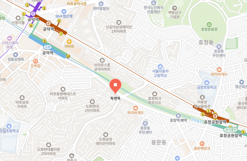 나의 강아지 최애 짤, 애견미용실 마포 공덕 독앤독 DOG and DOG 