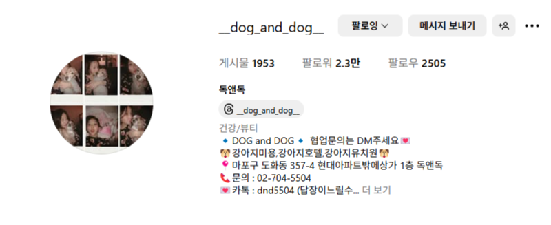 나의 강아지 최애 짤, 애견미용실 마포 공덕 독앤독 DOG and DOG 
