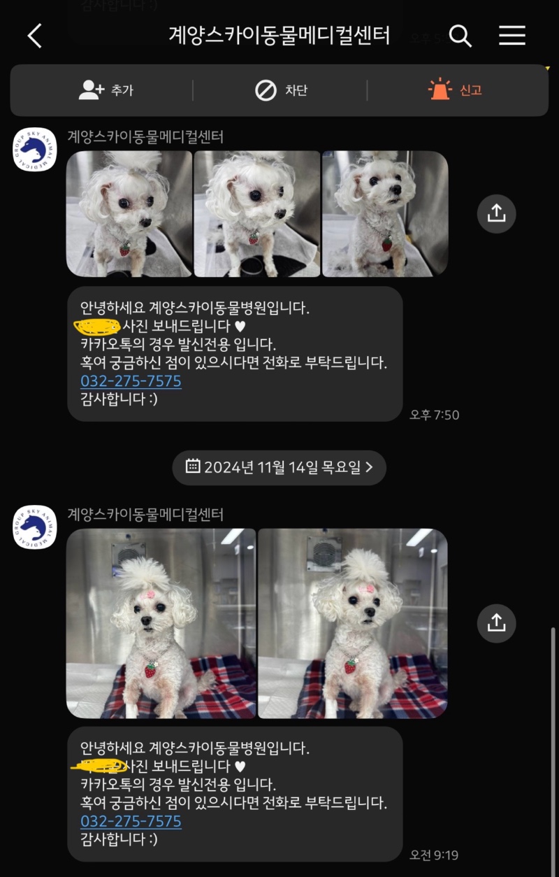 인천 계양구 계양스카이 동물병원 추천해용!