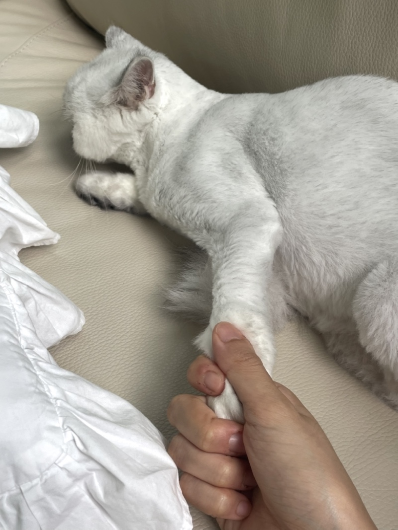 손 잡아주세요ㅜ나나