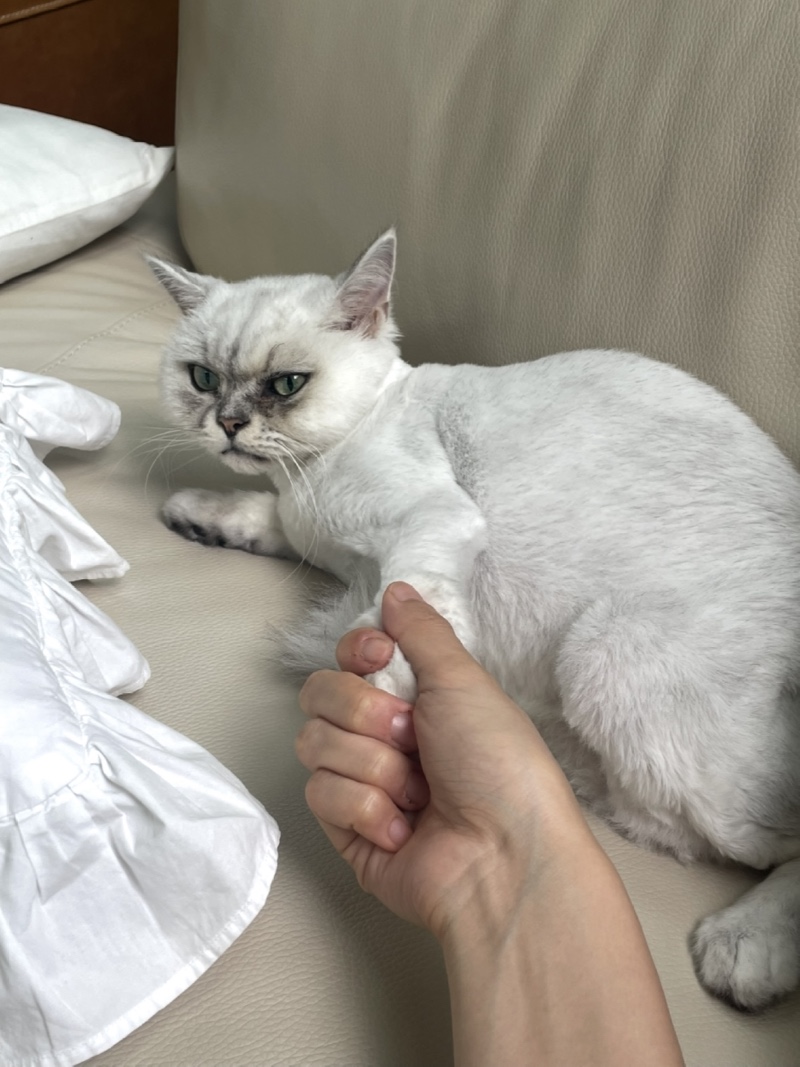 손 잡아주세요ㅜ나나