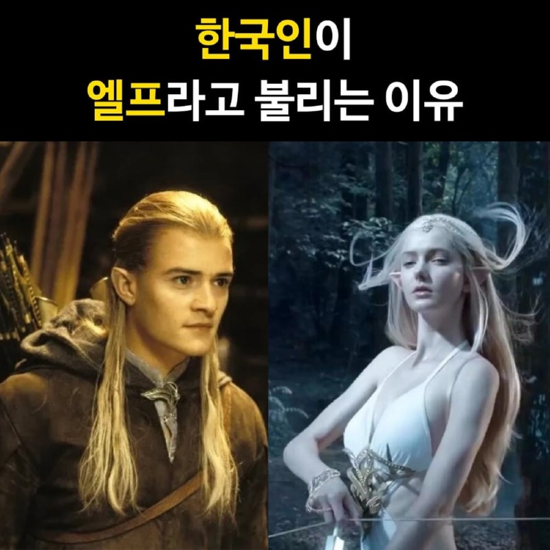 한국인이 이 세계의 엘프라고 불리는 이유 