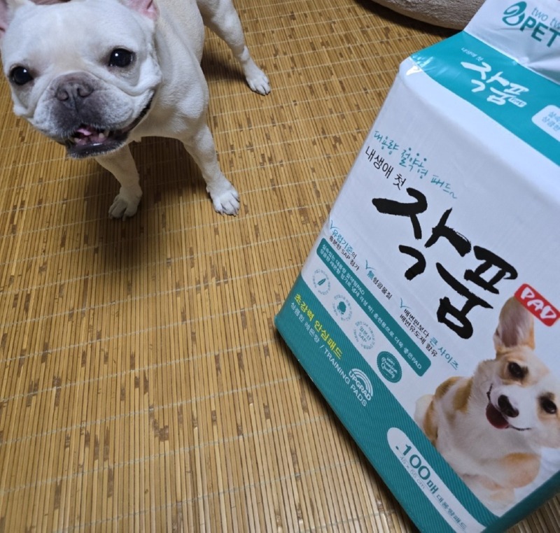 배변패드 (1).jpg