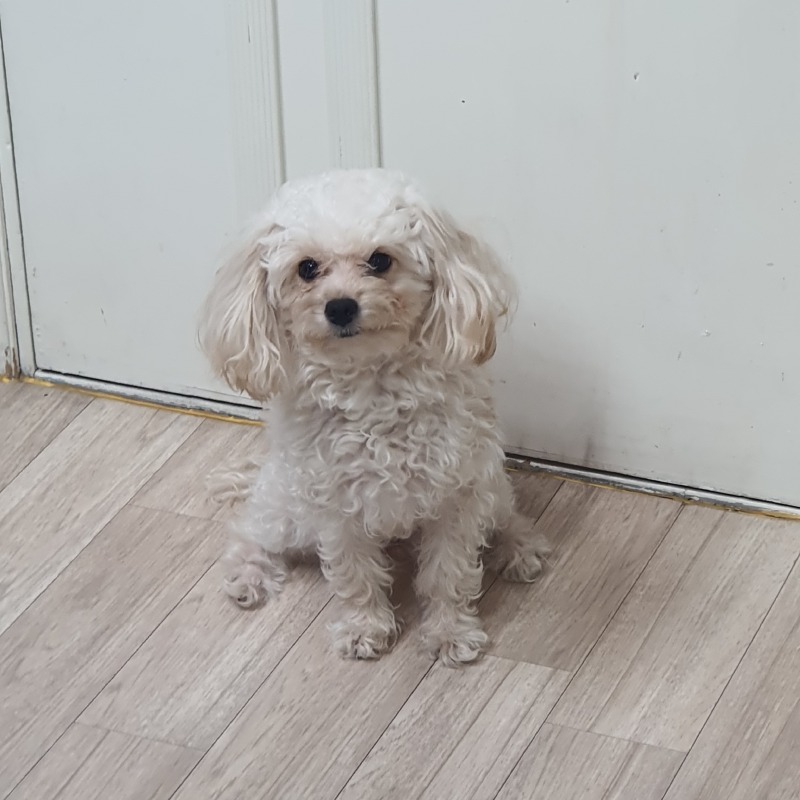 피곤해?