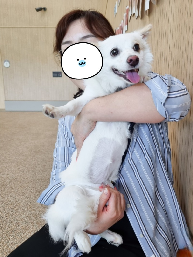 대전 반려동물공원 