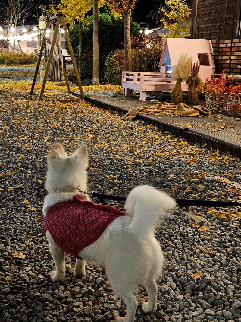 계룡산 파크오브드림