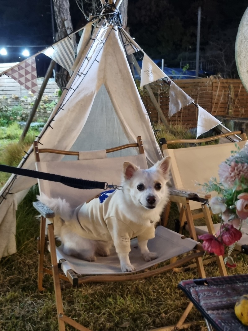 계룡산 파크오브드림