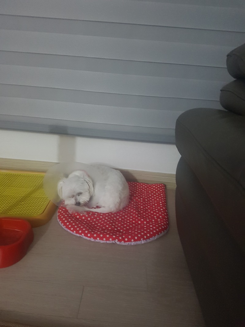 잠만자는뽀뽀♡