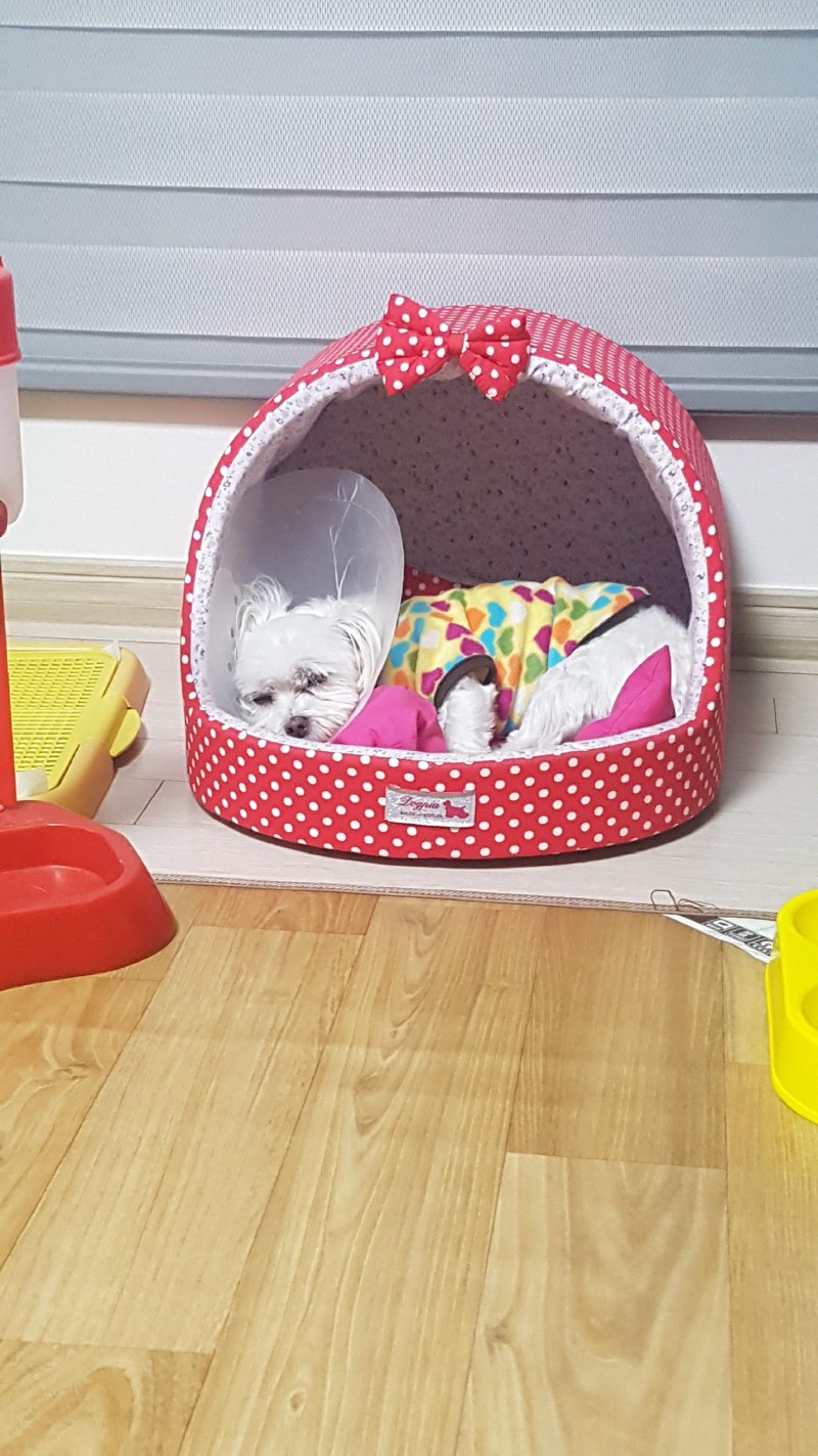 잠만자는뽀뽀♡