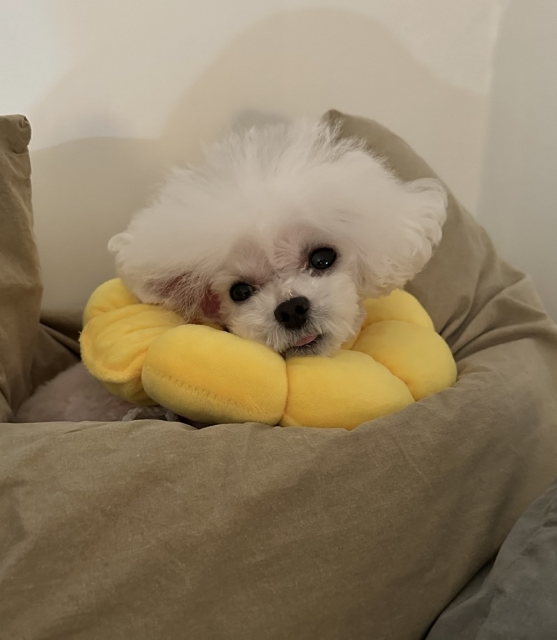 IMG_0207.jpeg