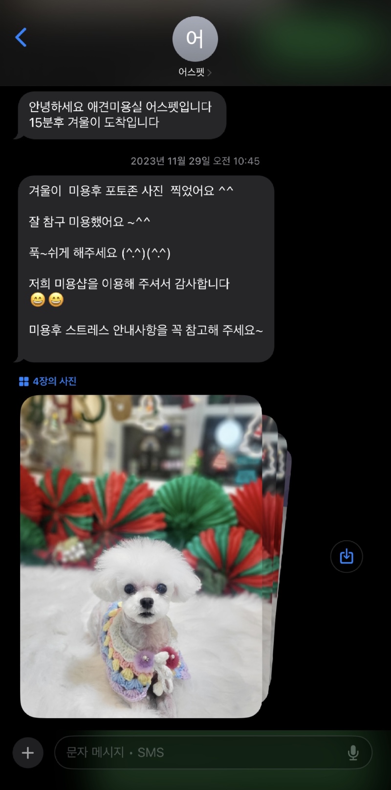 인천 계양구 픽업미용 가능한 [어스펫]