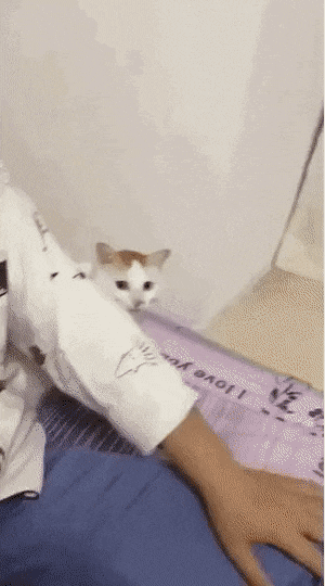 오빠 나 팔베개 해줘!!