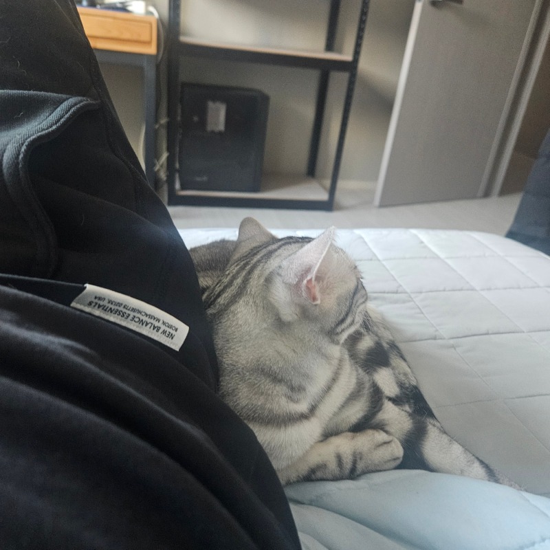 살쪄서 목이 안보임 ㅎㅎ