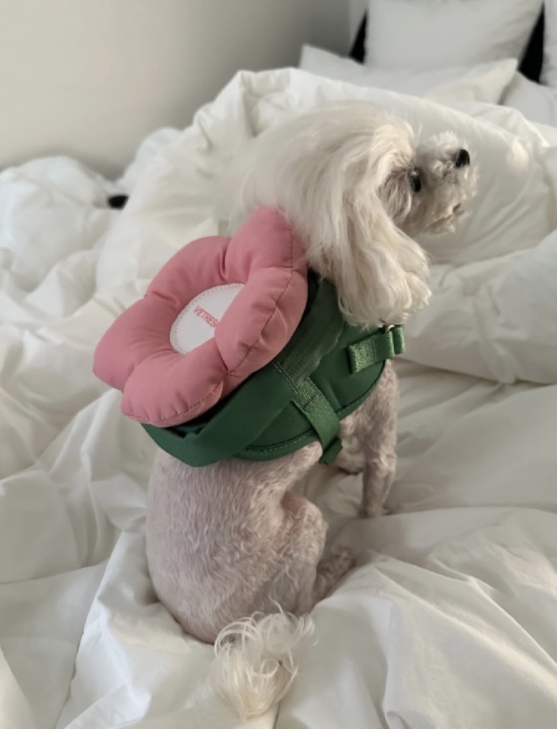 IMG_0378.jpeg