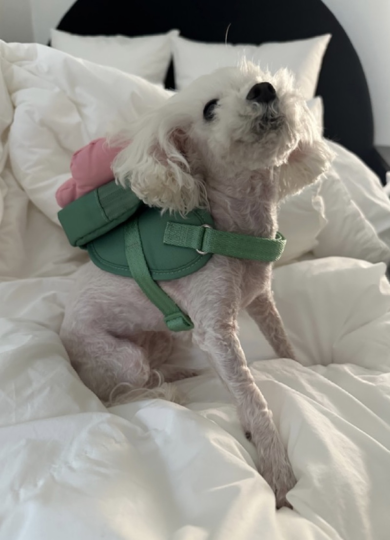 IMG_0380.jpeg