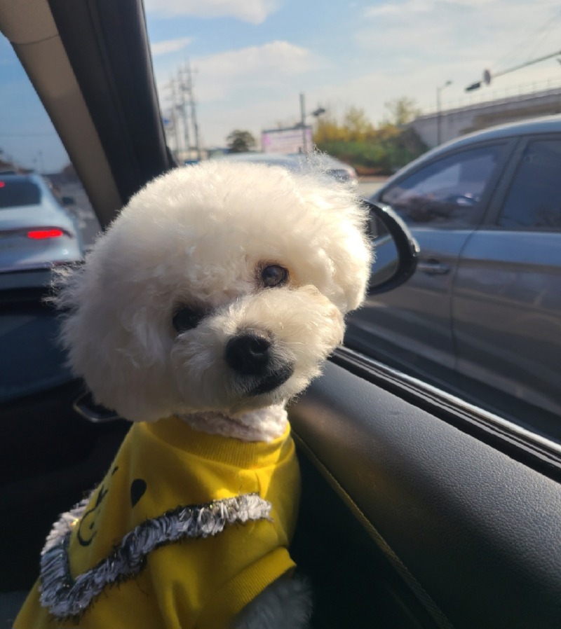 모찌ㅎㅎ