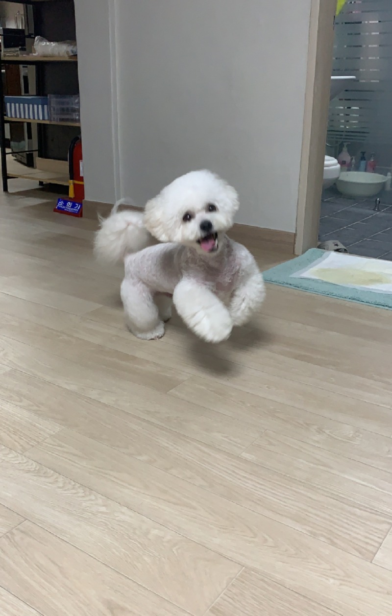 모찌ㅎㅎ