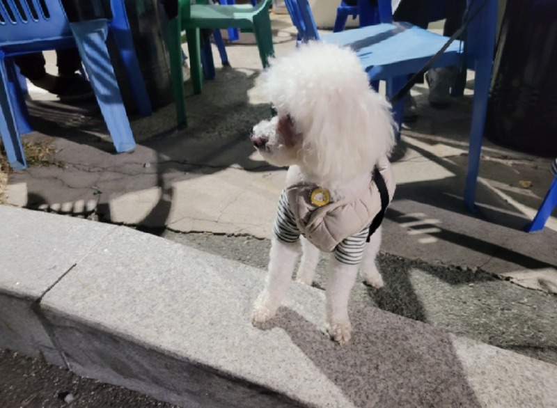 까망이ㅎㅎ