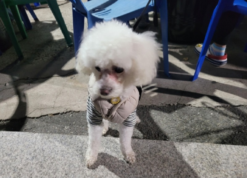 까망이ㅎㅎ