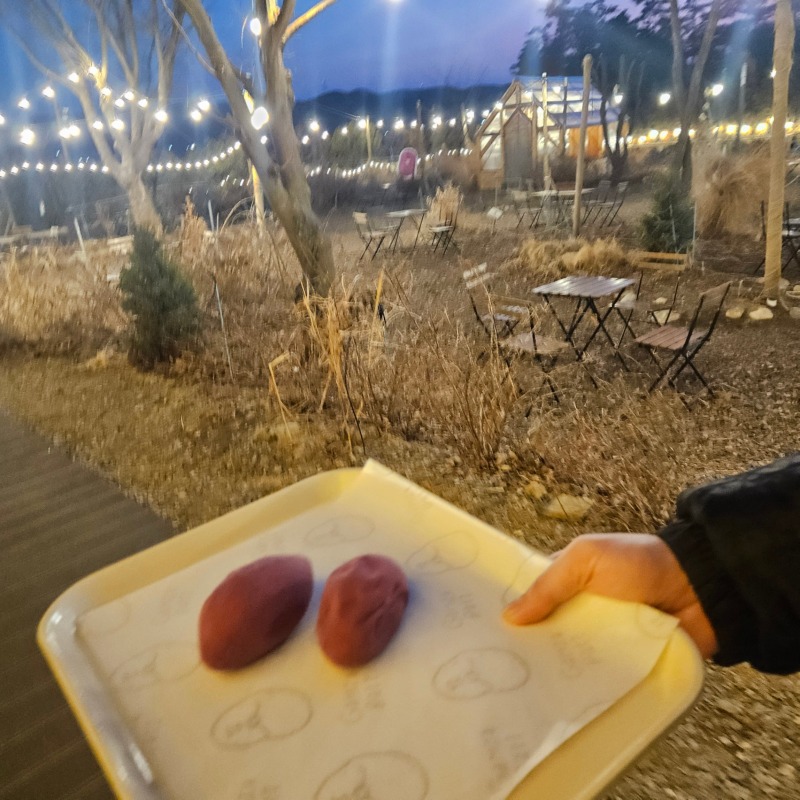 감자밭 애견동반카페