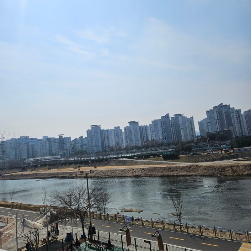  안양천 산책