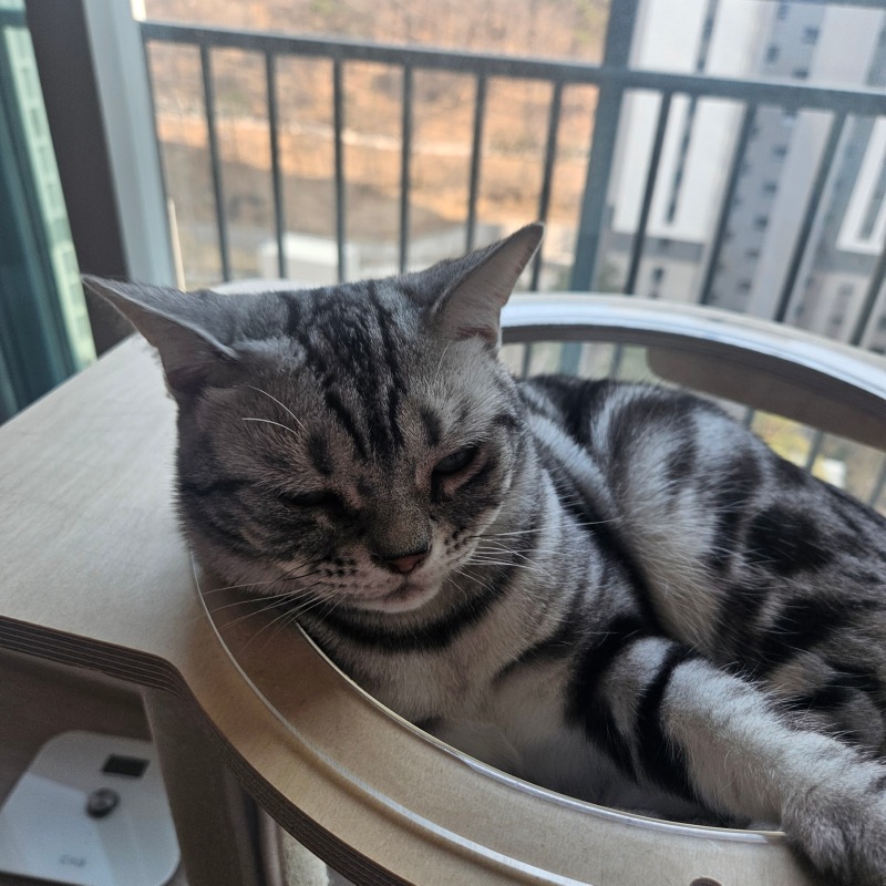 먹고 자고 ㅎㅎ