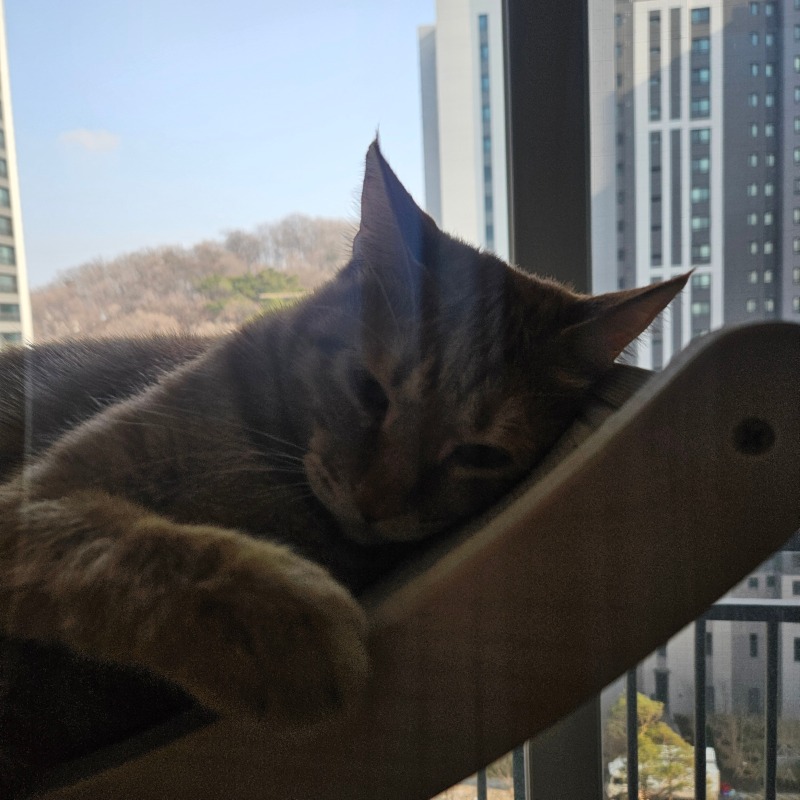 아휴 피곤해~