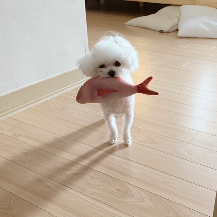 IMG_0434.jpeg