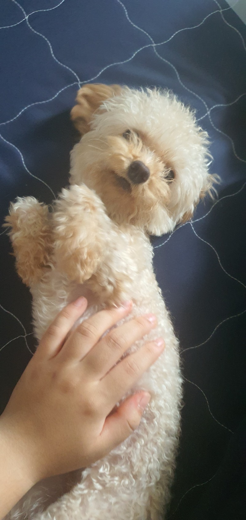 이뻐요