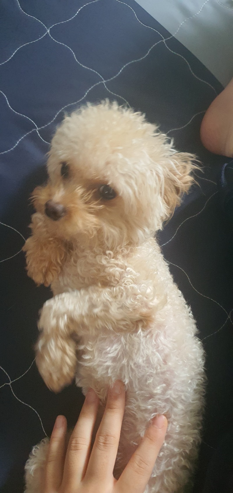 이뻐요