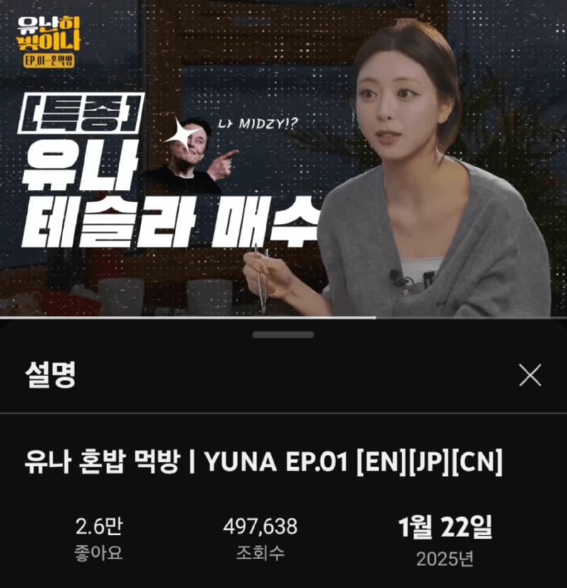 테슬라 주식 매수한 유나 
