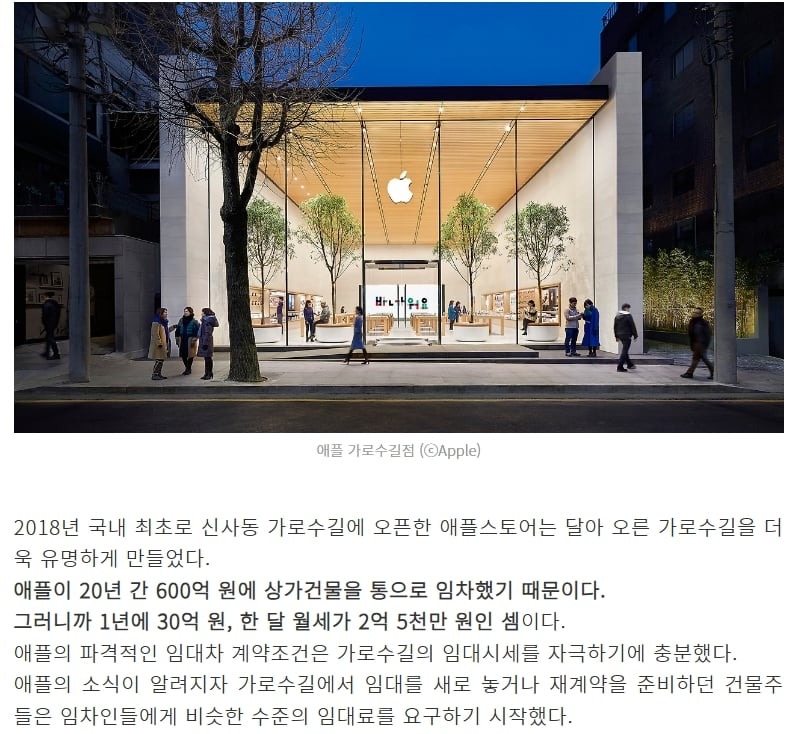 가로수길 임대료가 오른 가장 큰 이유