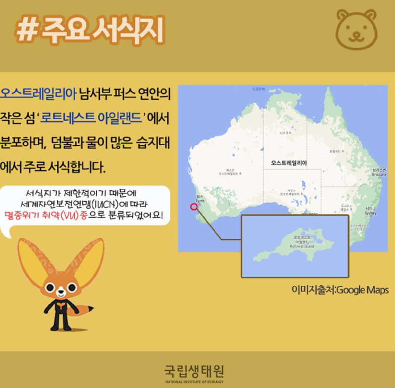 내가 제일 좋아하는 쿼카 영상 올려버린 유튜브 채널 (.feat 하나투어)