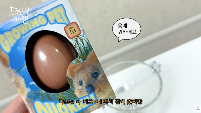 내가 제일 좋아하는 쿼카 영상 올려버린 유튜브 채널 (.feat 하나투어)