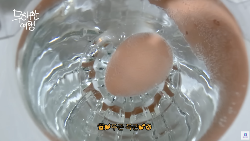 내가 제일 좋아하는 쿼카 영상 올려버린 유튜브 채널 (.feat 하나투어)