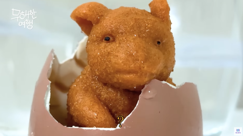 내가 제일 좋아하는 쿼카 영상 올려버린 유튜브 채널 (.feat 하나투어)