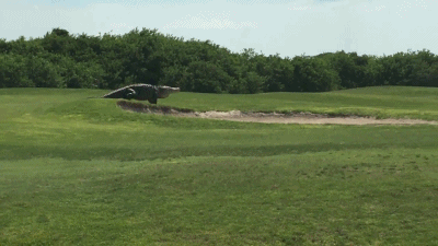 82c6010c211ed1fa9f8153fc8db10c25_1464771129_026.gif
