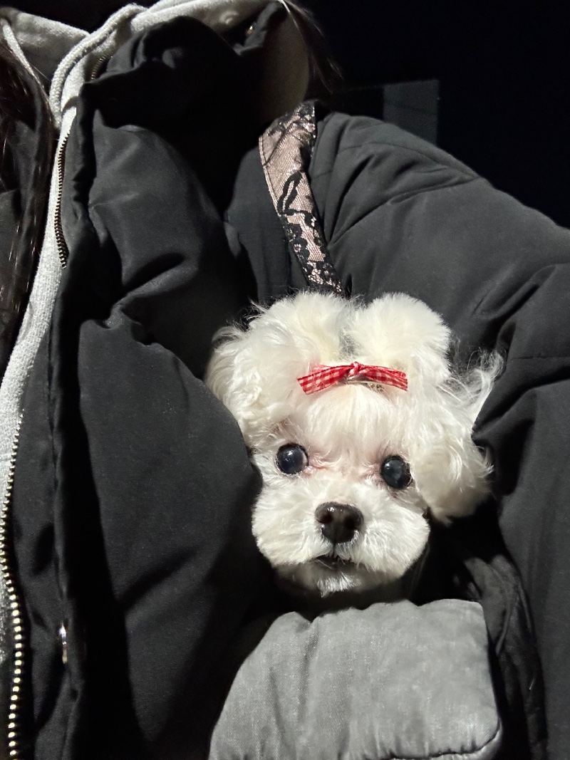 미용 이쁘게 하고 할무니 보러 가는길~