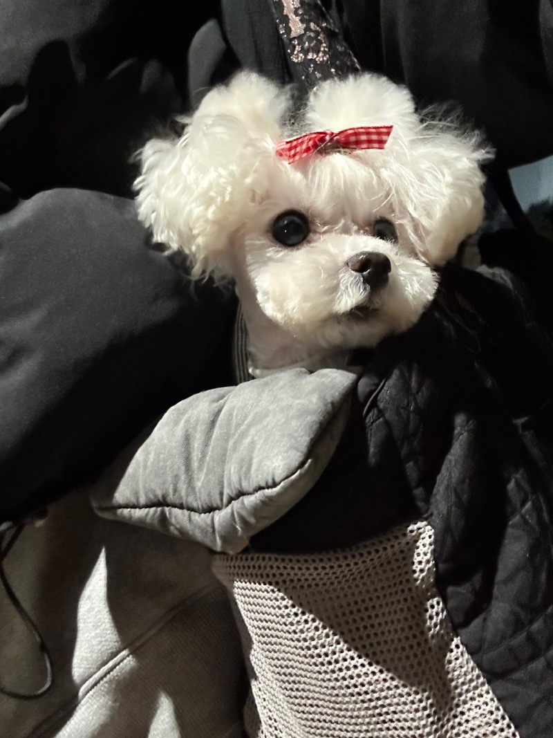 미용 이쁘게 하고 할무니 보러 가는길~