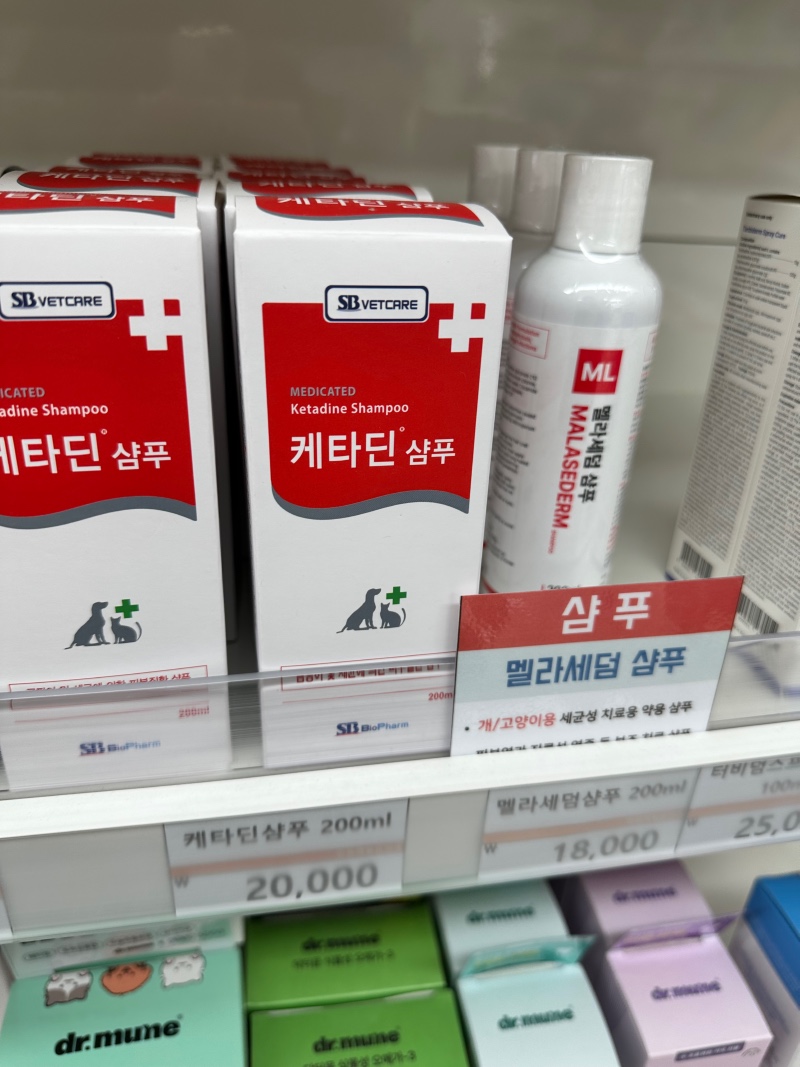 강아지 고양이 상비약도 인천 제일큰약국에서!