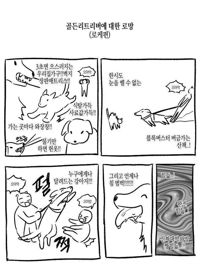 골든리트리버에 대한 로망