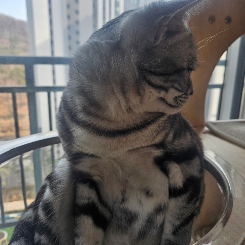 꿀잠자고 일어난 직후